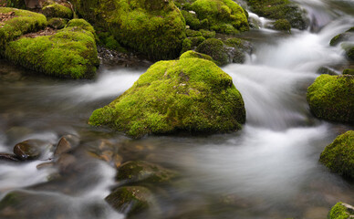silky water in the forest