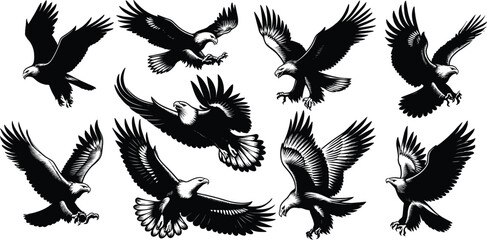 Set of bald eagle silhouette, vector illustration.