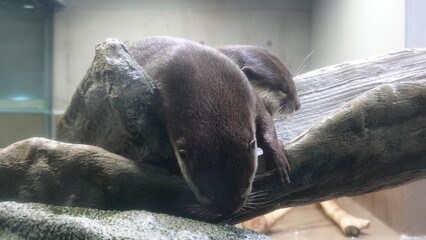 水族館