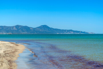 Bord de mer au printemps en Tunisie