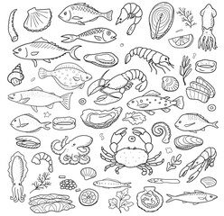 sea food cartoon wallpaper vector draw free hand