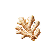 Obraz premium Ginger transparent background