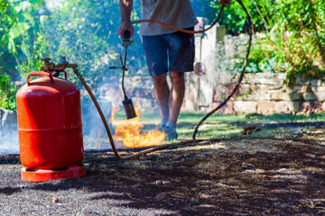 burn lawn. Man destroying dry dead grass with the weed burner, garden gas burner. Fire quickly...