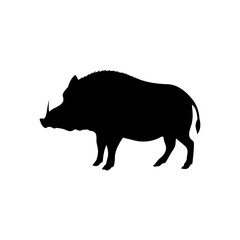 Boar silhouette, solid icon vector. Boar icon. Livestock concept. Boar sign on white background. Boar meat badge. Boarmeat. Part of my game meat illustration collection. Hunt. Hunting