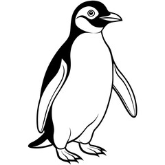 penguin illustration