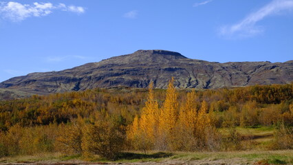 autumn landscape in the  Iceland mountains 