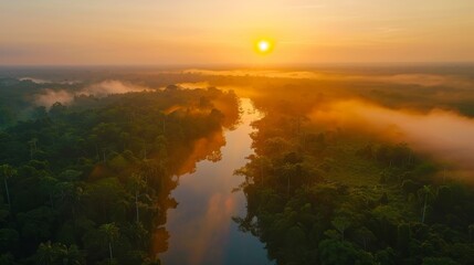 Obraz premium Sunrise over the Amazon forest, aerial shot capturing the gentle mist and the first light at the horizon, showcasing nature's beauty