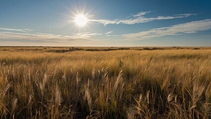 Golden savannah stretches under a sunny sky with scattered clouds