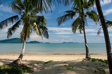 Obraz premium Sunny Beach in Thailand. Palm trees, sand, sea. Landscape view from the shore.