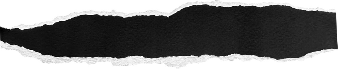 Black & White Torn Paper Strip