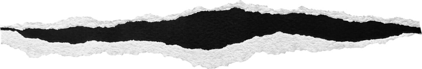 Black & White Torn Paper Strip