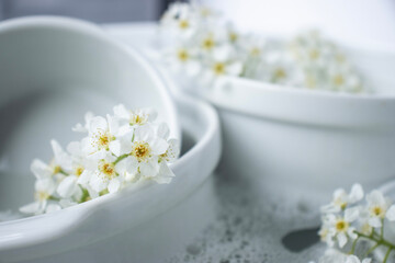 White dishes are filled with water and foam. Close-up of flowers on wet dishes. Place for text. Chamomiles in foam