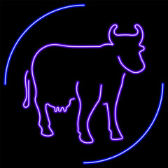 cow neon sign, modern glowing banner design, colorful modern design trend on black background. Vector illustration.