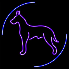 dog neon sign, modern glowing banner design, colorful modern design trend on black background. Vector illustration.
