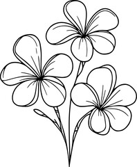 Plumeria flower vector illustration