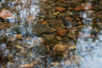 stream in the forest