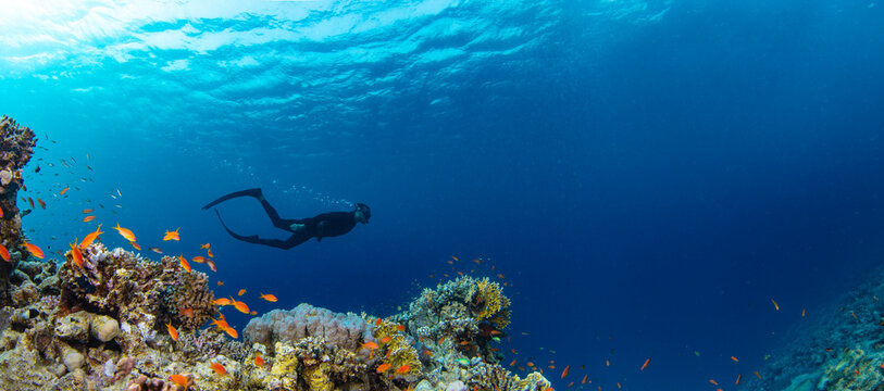 Freediver Swimming in Deep Sea With Sunrays. Young Man Diver Eploring Sea Life.