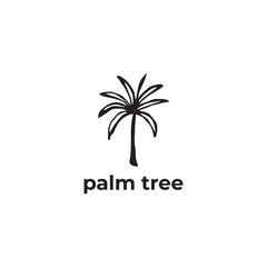 palm tree