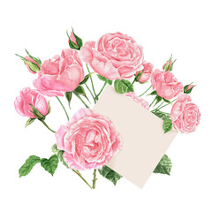 watercolor pink roses with blank card, clipart style isolated on white background