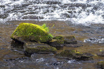 Detail view of Dyje River in Podyji National Park near Znojmo town in the South Moravian Region of the Czech Republic, Europe.