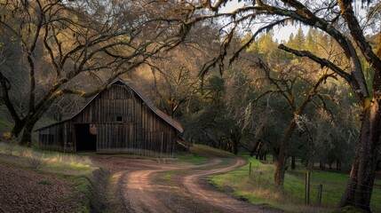 wooden barn nestled amidst a grove of trees, with a dirt road 