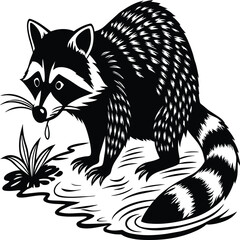 Raccoons silhouette black white vector illustration