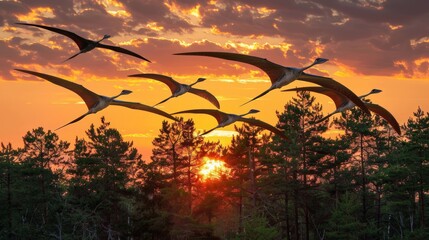 Serene scene of pterodactyls gliding over lush forest at sunset. Warm orange and yellow hues of sky, sun setting behind trees. Prehistoric creatures flying gracefully, serene atmosphere,