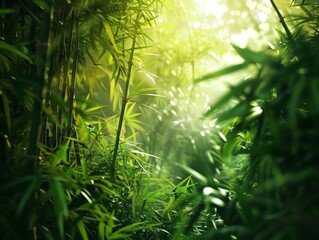 A lush, green bamboo forest with sunlight filtering through, rule of thirds composition, high detail