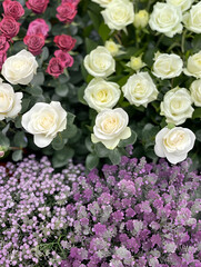 A bouquet of white roses and purple flowers. The arrangement is elegant and sophisticated, with the white roses providing a sense of purity and innocence. Generative AI
