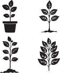 set of plants
