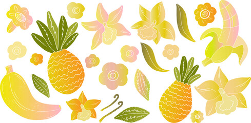 Pineapples, bananas, vanilla. Linocut style. Colored gradient fruits. Tropical exotic set. Texture vector elements