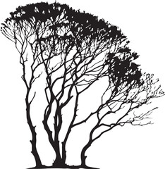 tree silhouette vector