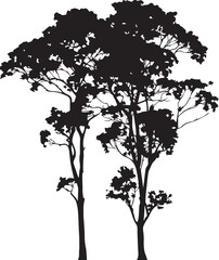 silhouette of tree