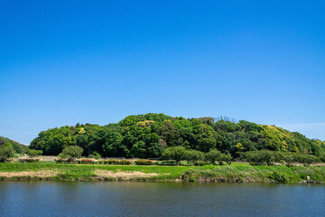 Fototapeta premium 川岸の風景