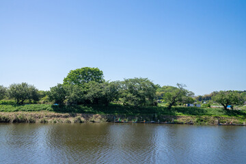 川岸の風景