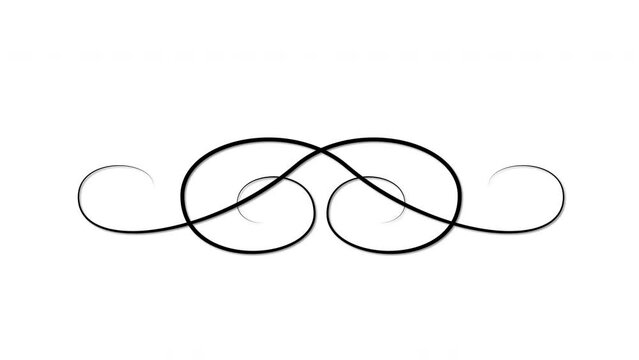 Flourish twirl, calligraphy design element, swirl self drawing animation. Alpha channel, isolated design element.