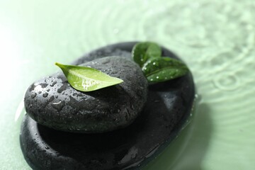 Spa stones and fresh leaves in water on light green background, closeup