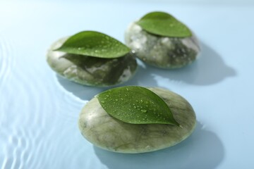 Spa stones and green leaves on light blue background, closeup