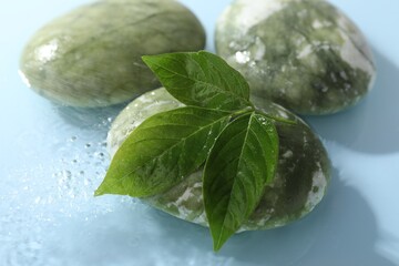 Spa stones and green leaves in water on light blue background, closeup