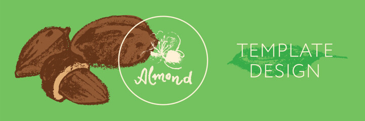 Vector almond banner template. Hand drawn almonds drawing, almond nuts illustration. Marzipan paste or almond butter badges. Floral sketch with charcoal textures. Almond emblem for organic food label.