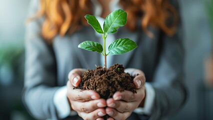 Arbor day concept, woman holding plant shoots in her hands.