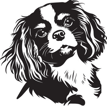 recommend clip art: cute cavalier king charles spaniel dog