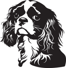 cavalier king charles spaniel dog illustration