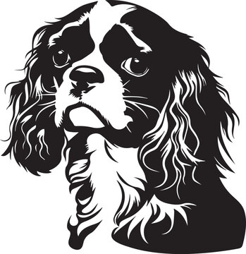 recommend clip art: cavalier king charles spaniel dog illustration