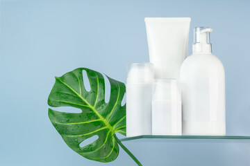 Assorted blank cosmetics bottles with a green leaf for mockup