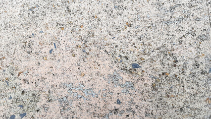 rough terrazzo floor Has been used for a long time at the black spots of the lichen that cannot be...