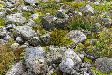 Scenic view of alpine landscape at hiking trail with debris at Swiss mountain pass Grimsel on a cloudy late summer day. Photo taken September 19th, 2023, Grimsel, Canton Bern, Switzerland.