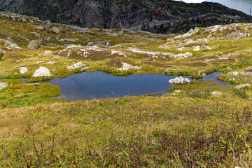 Alpine landscape in the Swiss Alps with pond and meadow at mountain pass Grimsel on a cloudy autumn day. Photo taken September 19th, 2023, Grimsel, Canton Bern, Switzerland.