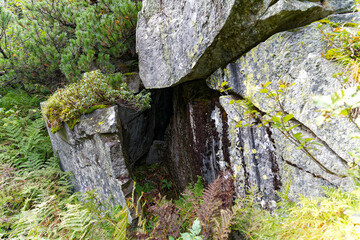 Scenic landscape at hiking trail with rock covered with lichen at Swiss mountain pass Grimsel on a...