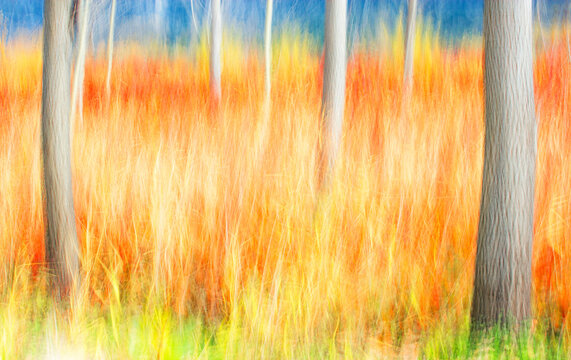Impressionist Autumn Forest Scene in Vivid Colors